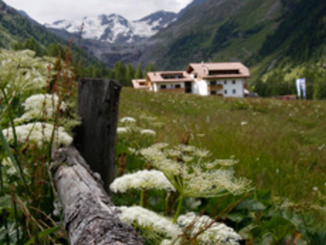 С деца на планина – най-важните неща за поход