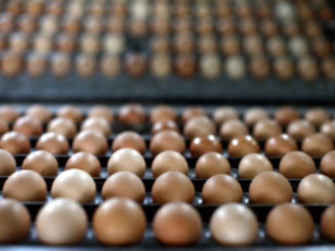 Лесно отслабване с протеинова закуска