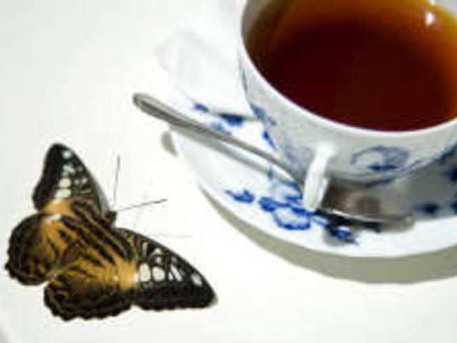 Гаргара с градински чай помага срещу лош дъх