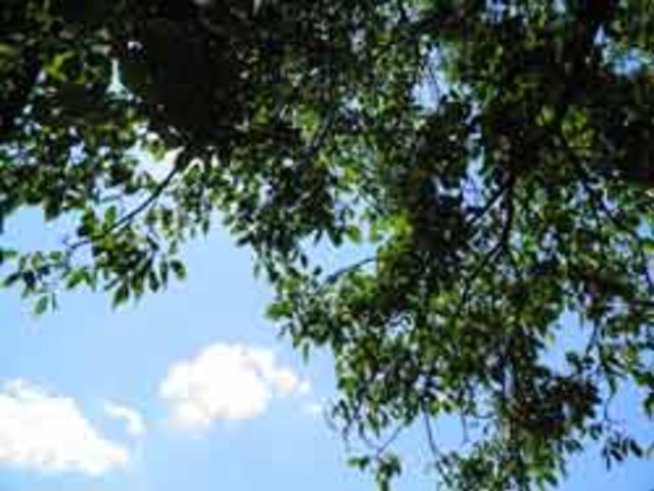 Мързеливи игри за развинтване на въображението