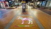 Цветни зебри украсиха София за световния ден на редките болести
