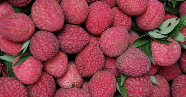 Личи, кактус и лайм за красива кожа - Az-jenata