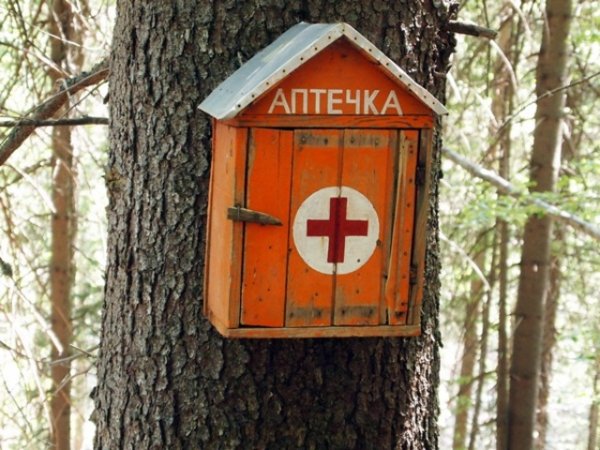 Горските аптечки в помощ на туристите на Витоша.
Аптечки за първа помощ предлагат цигари и дамски превръзки
От изсичане и презастрояване на Витоша се притесняват еколози
Витоша - зимна и очакваща