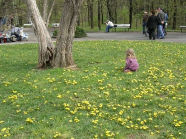 Столичния Южен парк е пълен с хора, които се наслаждават на пролетното
слънце - празнуват рожден ден, разхождат се, карат колело или просто си
почиват.

