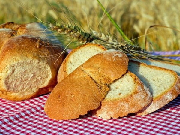 Пшеница и ориз
Глиадинът е белтък, съставляващ глутена в пшеницата, за който се смята, че има опиатна активност. В ориза също се съдържа протеин, който предизвиква подобни ефекти. Може ли да консумирате ястието си без хляб, хапвате ли редовно тестени изделия?&nbsp;&nbsp;&nbsp;Снимка: pixabay